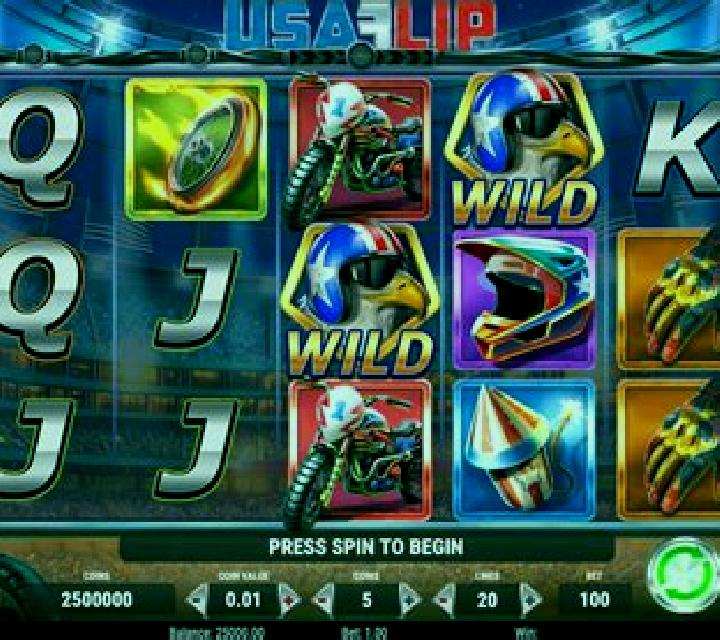 USA Flip slot game