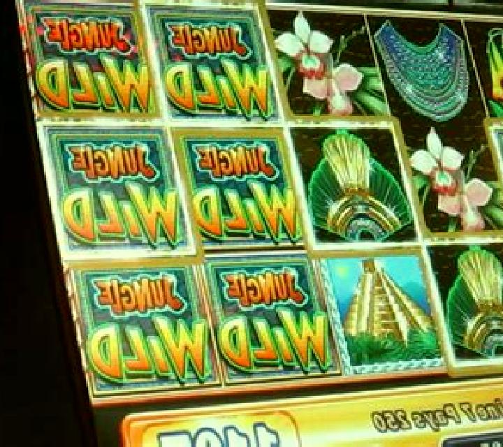 Veracruz Wild slot machine