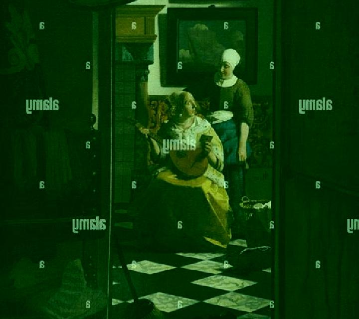 Vermeer slot