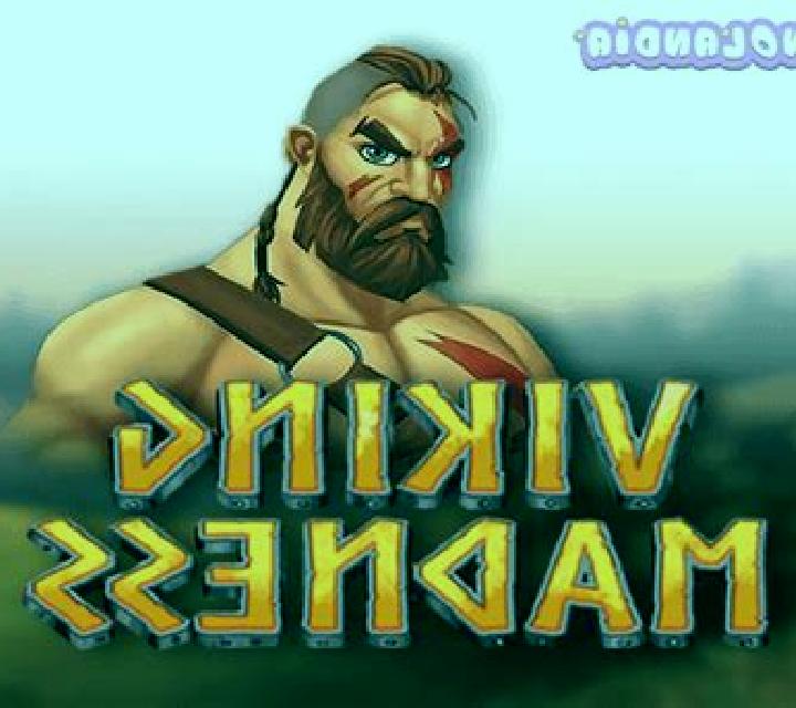 Viking Madness slot game