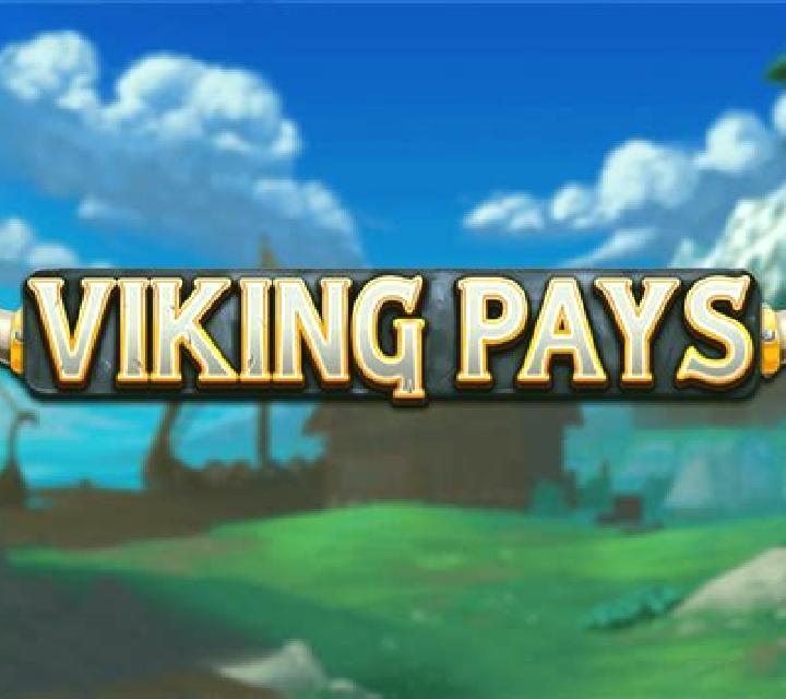 Viking Pays slot machine