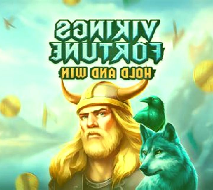 Vikings Fortune: Hold and Win slot game