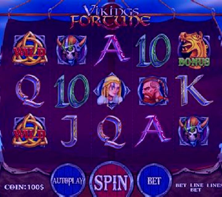 Vikings Fortune slot game
