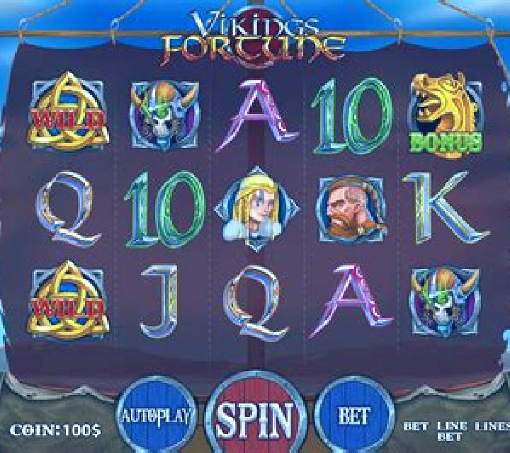 Vikings Fortune slot
