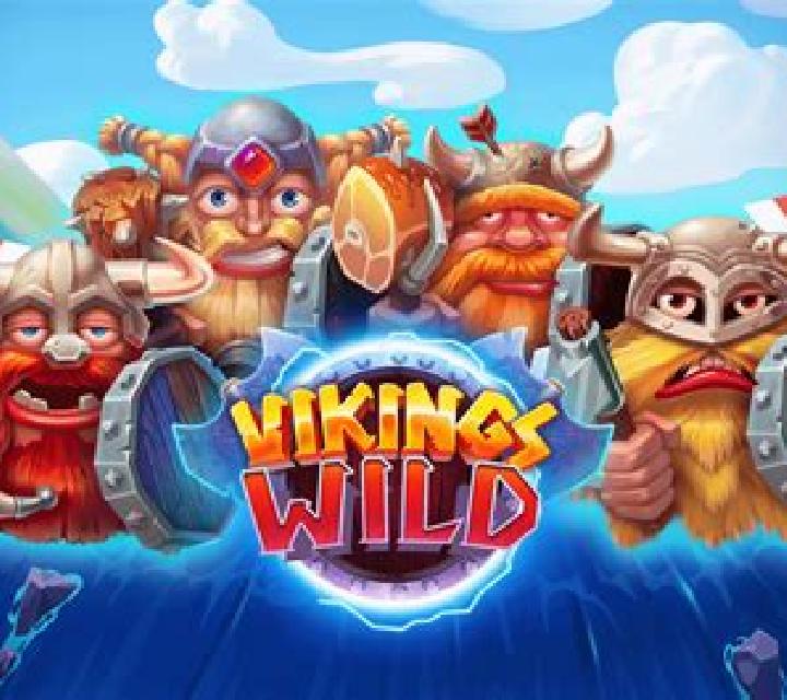 Viking s Fun (Casino Technology) slot
