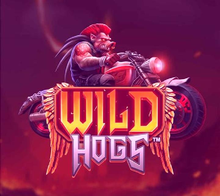 Vikings & Hogs slot machine