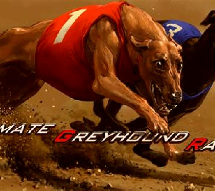 Virtual Greyhound Races slot game