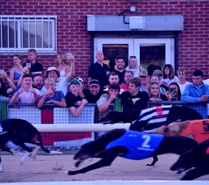 Virtual Greyhound Races slot machine