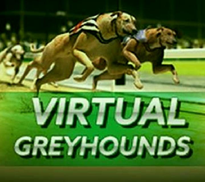 Virtual Greyhounds online slot