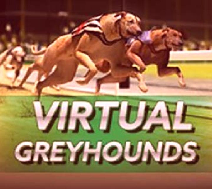Virtual Greyhounds slot game