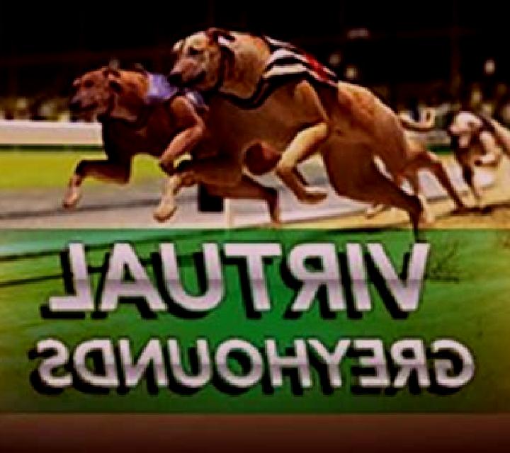 Virtual Greyhounds slot machine