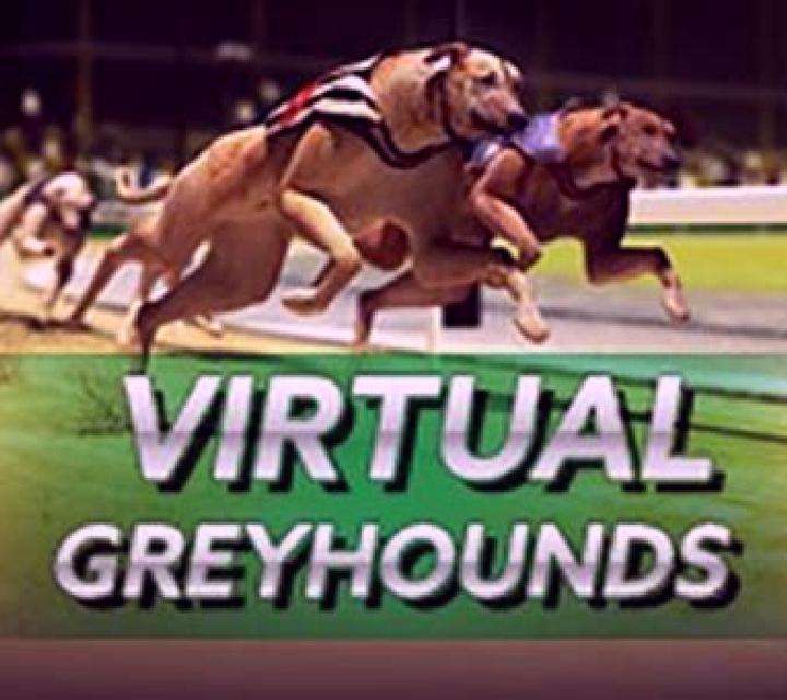 Virtual Greyhounds slot