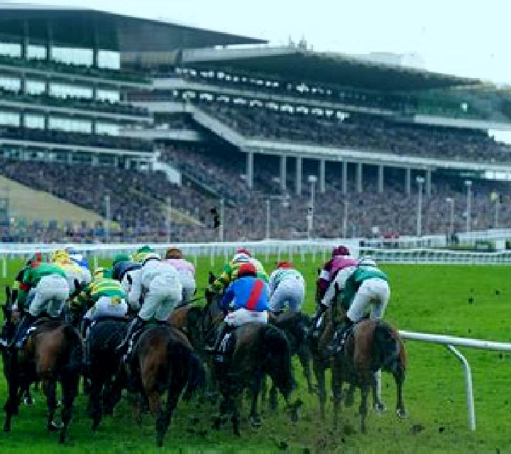 Virtual! Horse Racing at Cheltenham Festival online slot