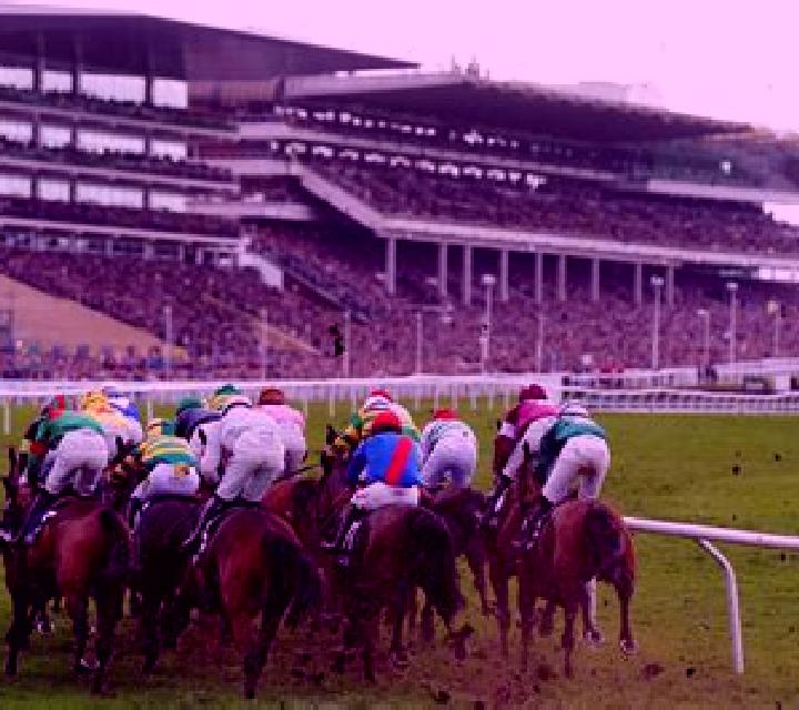 Virtual! Horse Racing at Cheltenham Festival slot game