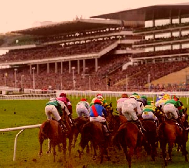 Virtual! Horse Racing at Cheltenham Festival slot machine