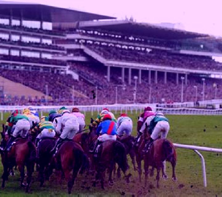 Virtual! Horse Racing at Cheltenham Festival slot