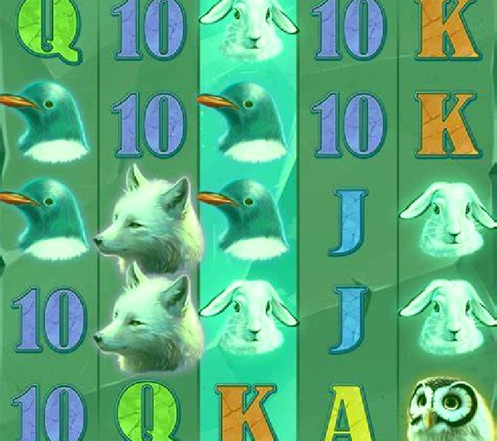 Walrus King slot machine