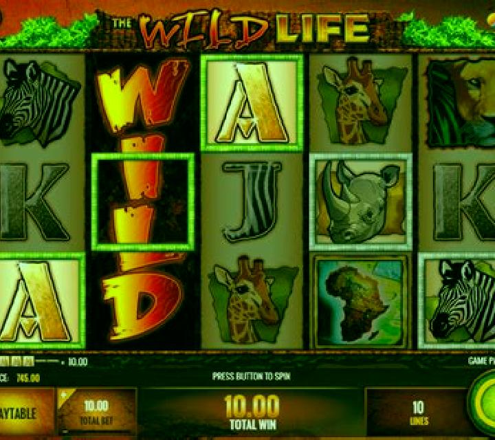 Wealth and Happy Life slot game
