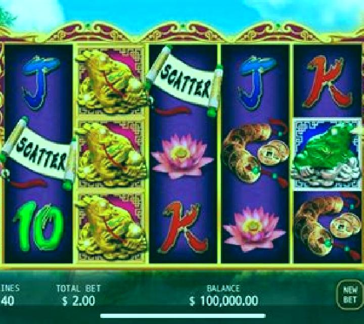 Wealth Toad slot