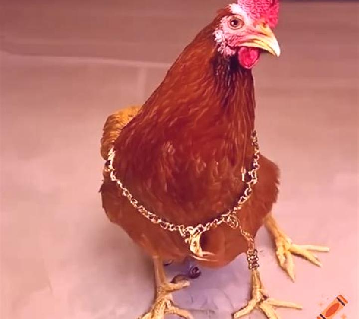 Wealthy Chicken online slot