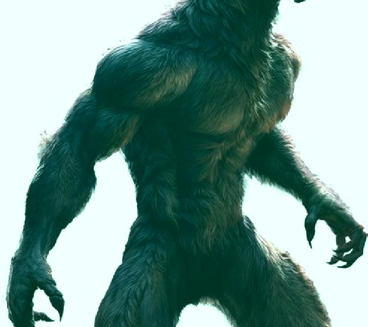 Werewolf (PlayStar) slot game