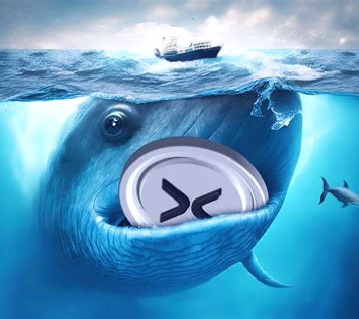 Whale Crash online slot