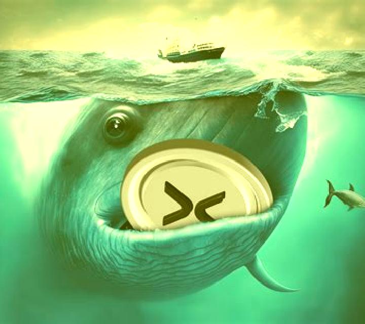 Whale Crash slot machine