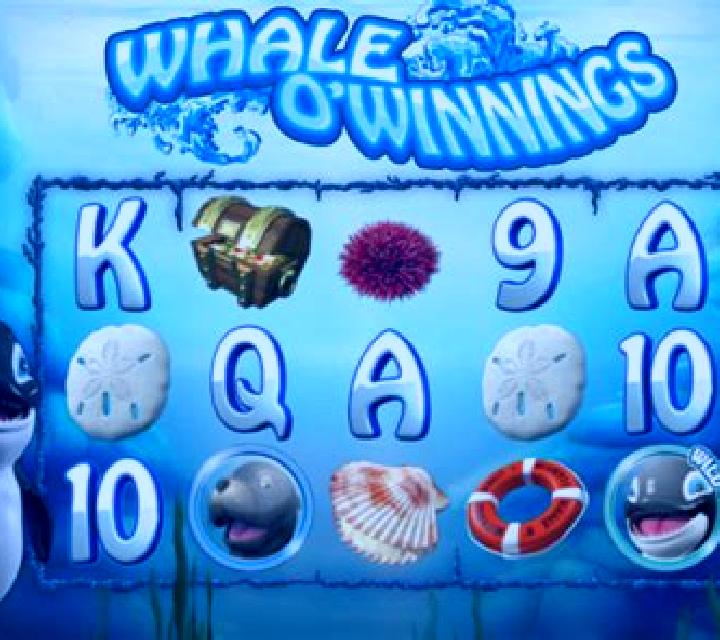 Whale O Winnings slot