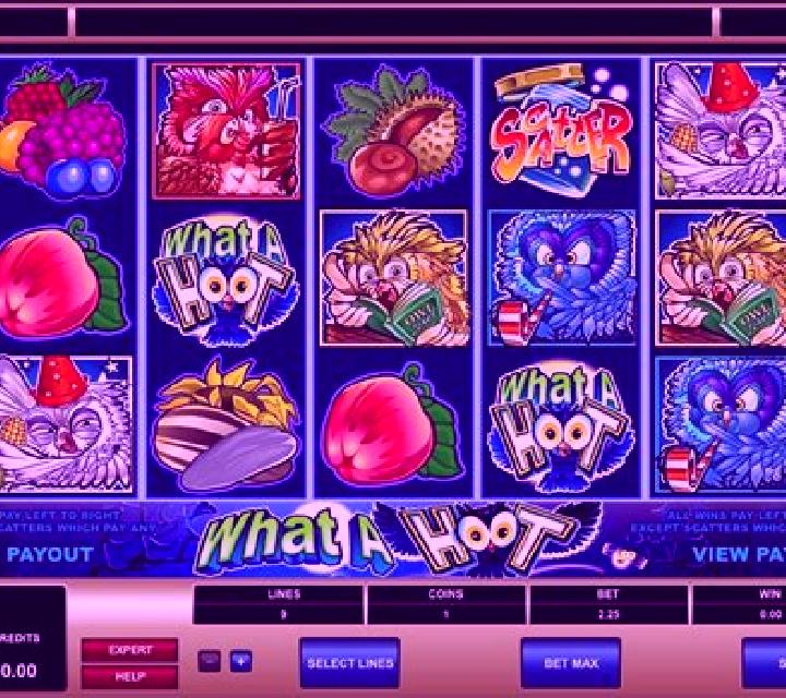 What a Hoot online slot