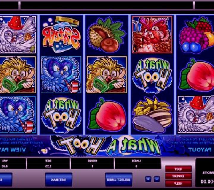 What a Hoot slot machine