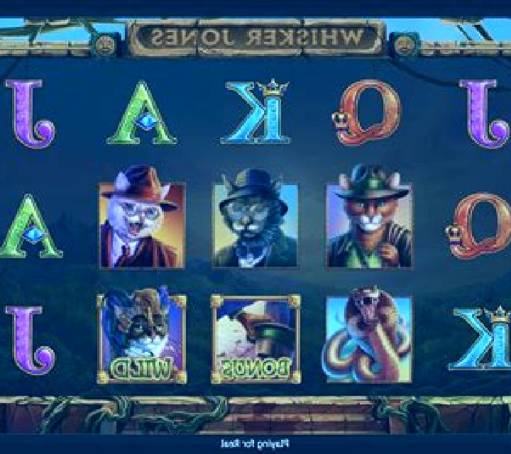 Whisker Jones slot game