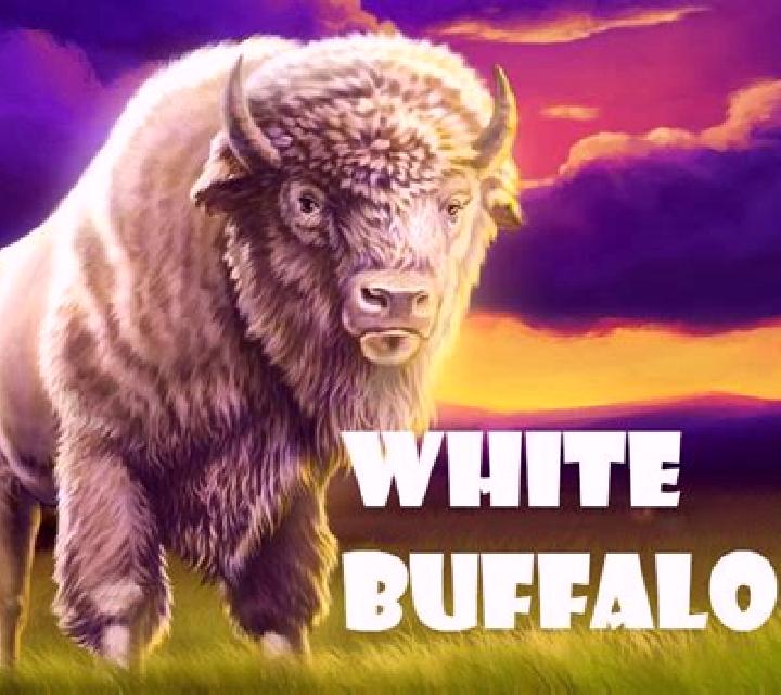 White Buffalo (Microgaming) slot game