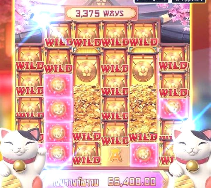 White Nose Cat slot game