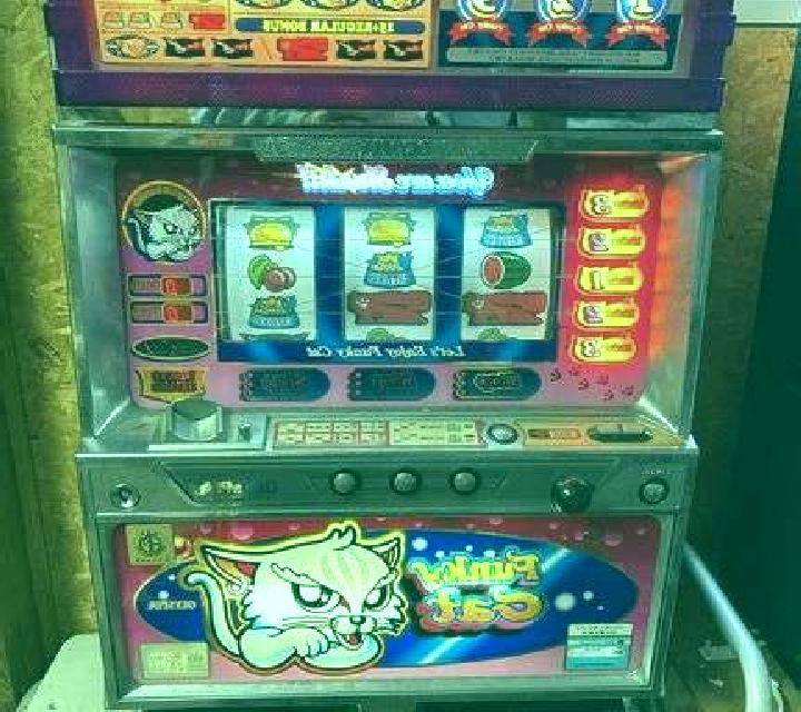 White Nose Cat slot machine
