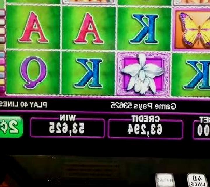 White Orchid slot game