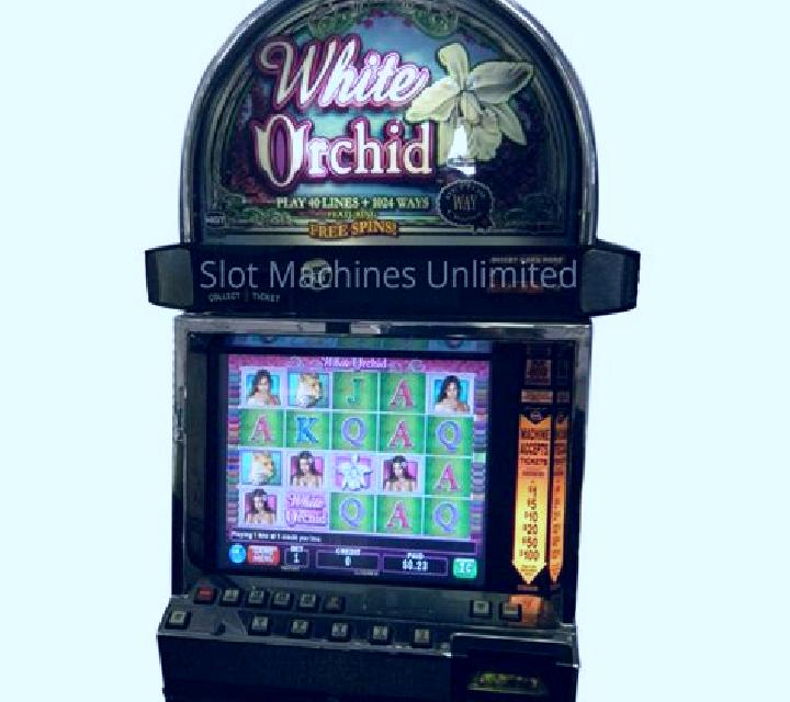 White Orchid slot