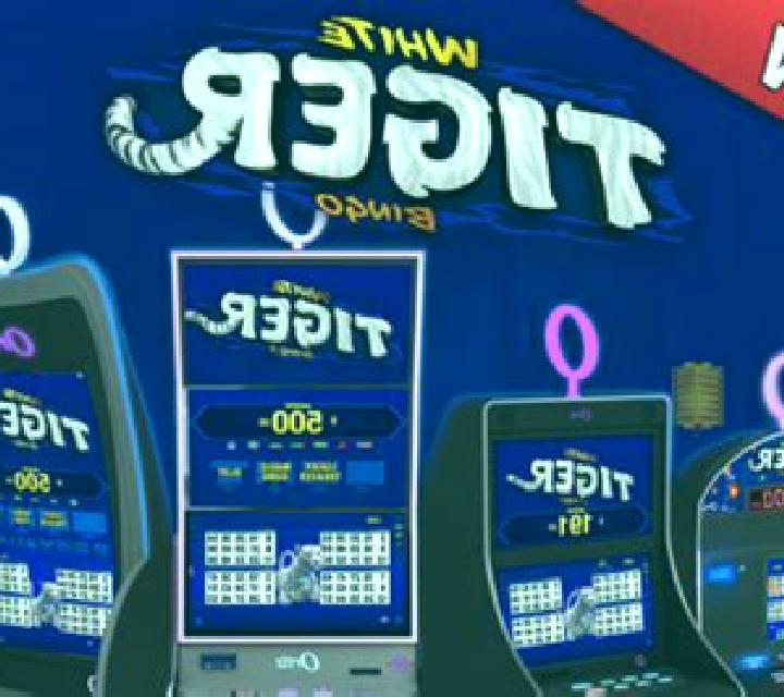 White Tiger Bingo online slot
