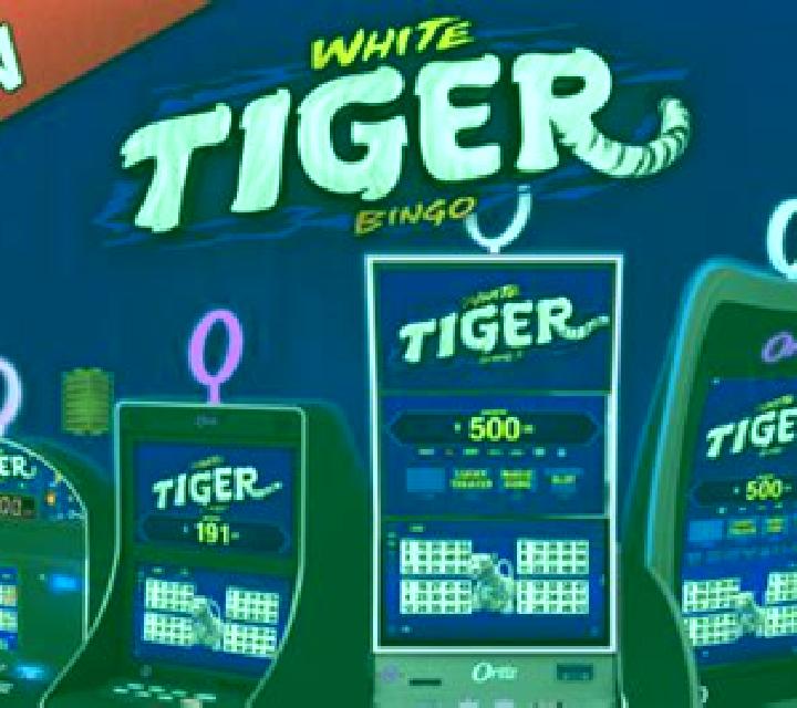 White Tiger Bingo slot