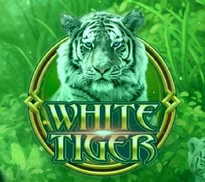 White Tiger (Funky Games) slot game