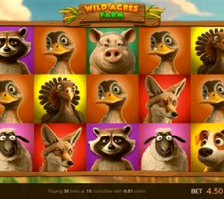 Wild Acres Farm slot