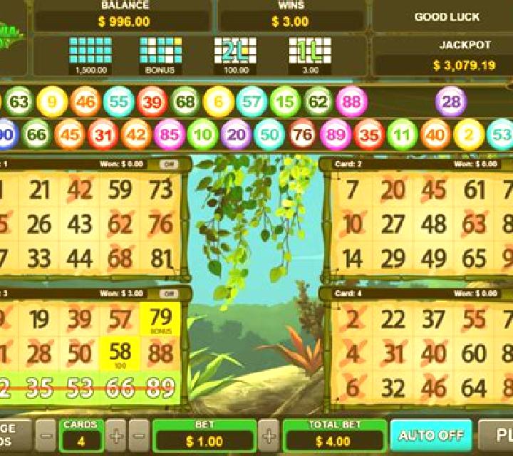 Wild Bingo slot machine