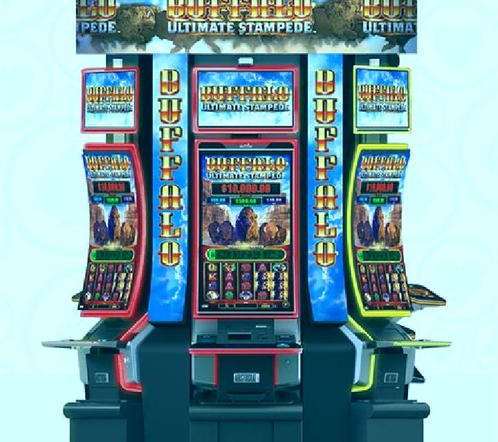 Wild Bison Stampede slot machine
