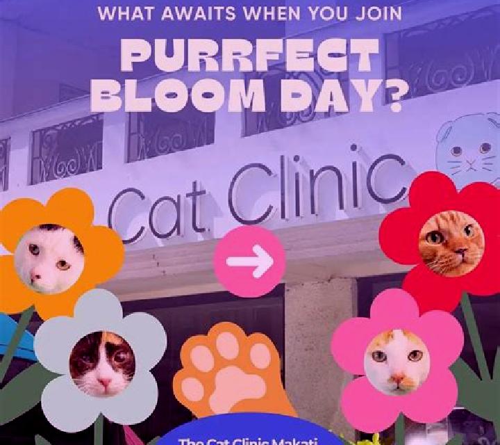 Wild Bloom online slot