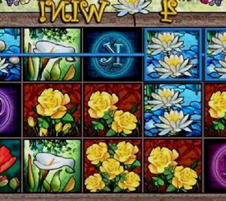 Wild Bloom slot game