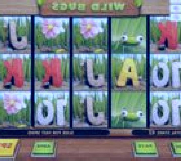 Wild Bugs online slot