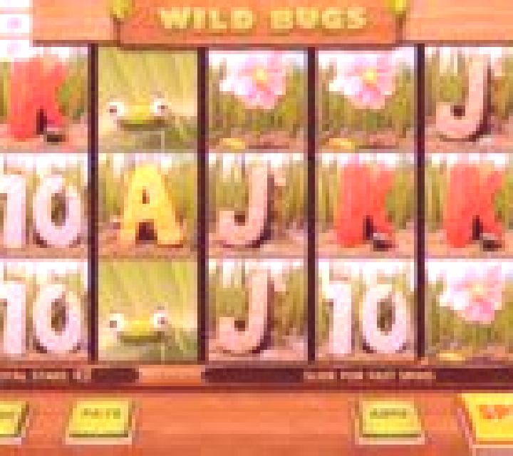 Wild Bugs slot