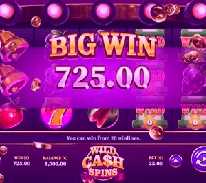 Wild Cash Spins online slot