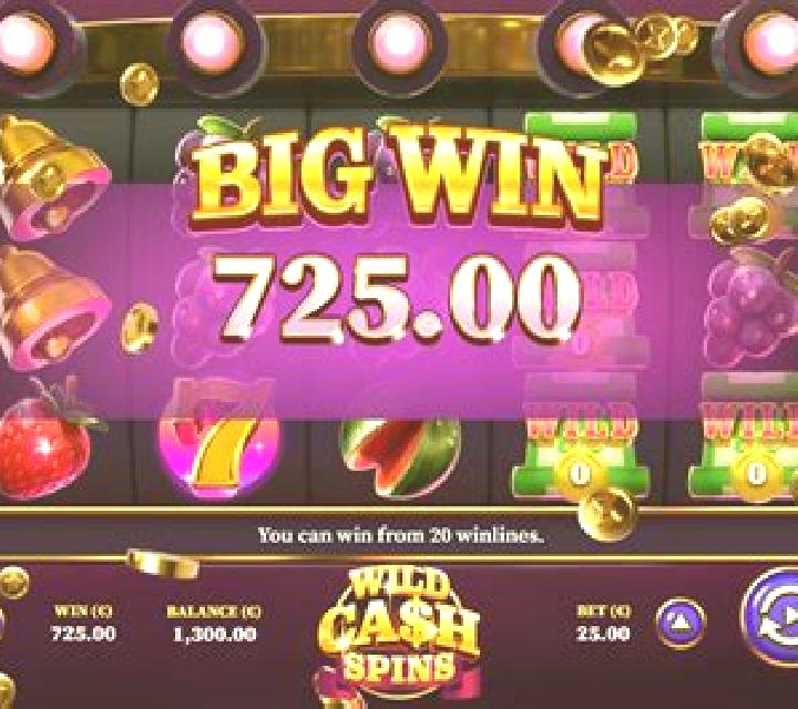 Wild Cash Spins slot game