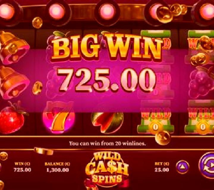 Wild Cash Spins slot machine