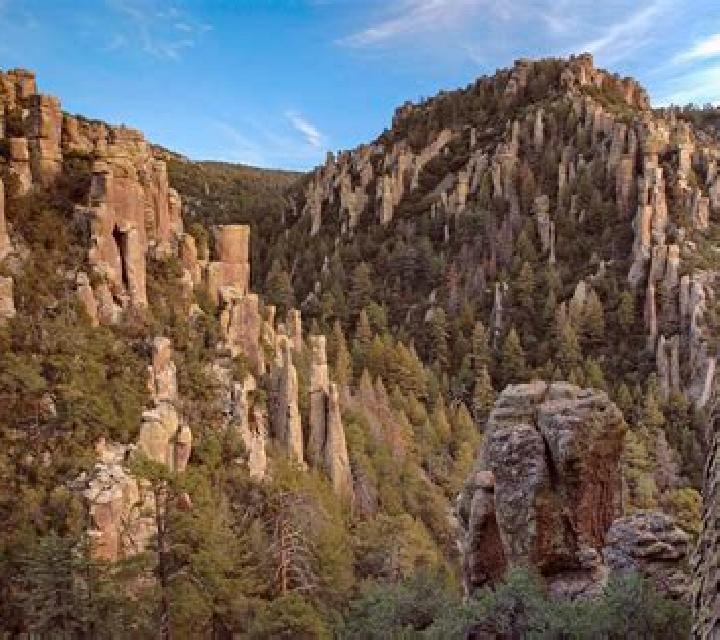 Wild Cat Canyon online slot